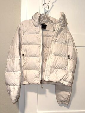 The North Face Hydrenalite Hooded Down Jacket